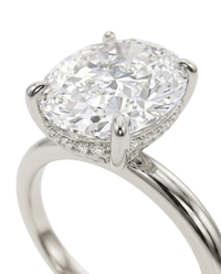 The Lina Halo | Oval Cut | 14K White Gold