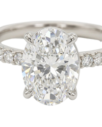 The Lina Pave | Oval Cut | 14K White Gold