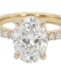 The Lina Pave | Oval Cut | 14K Yellow Gold