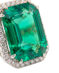 Palazzo Ring