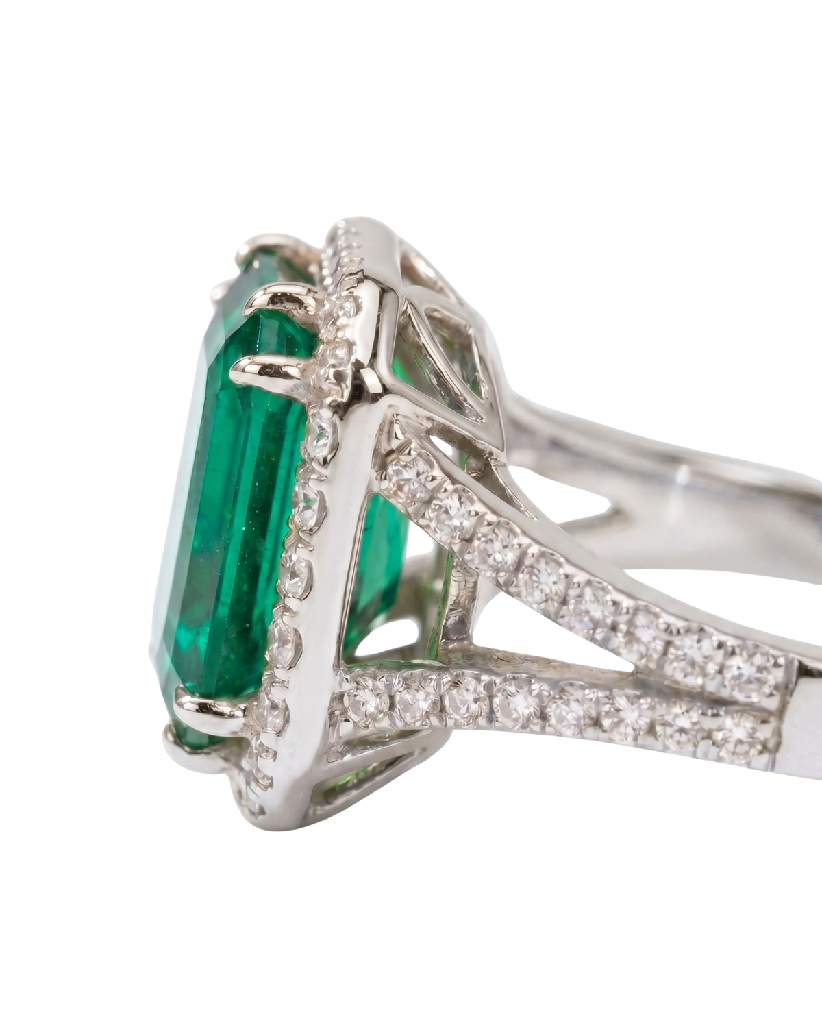 Palazzo Ring