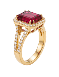 Palazzo Ring