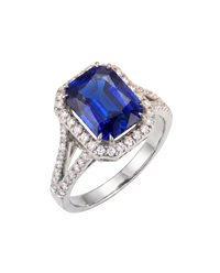Palazzo Ring