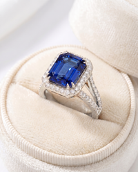 Palazzo Ring