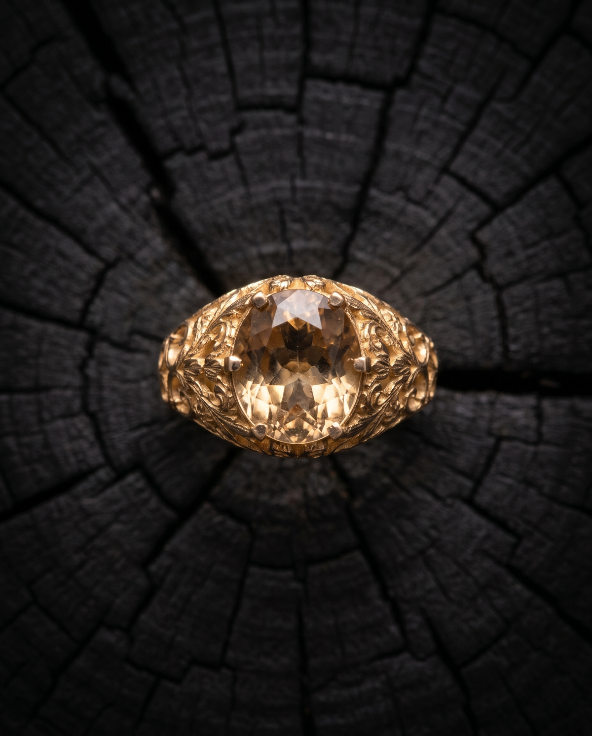 Relic | v01