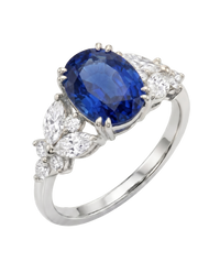 Twilight Ring | Oval Cut